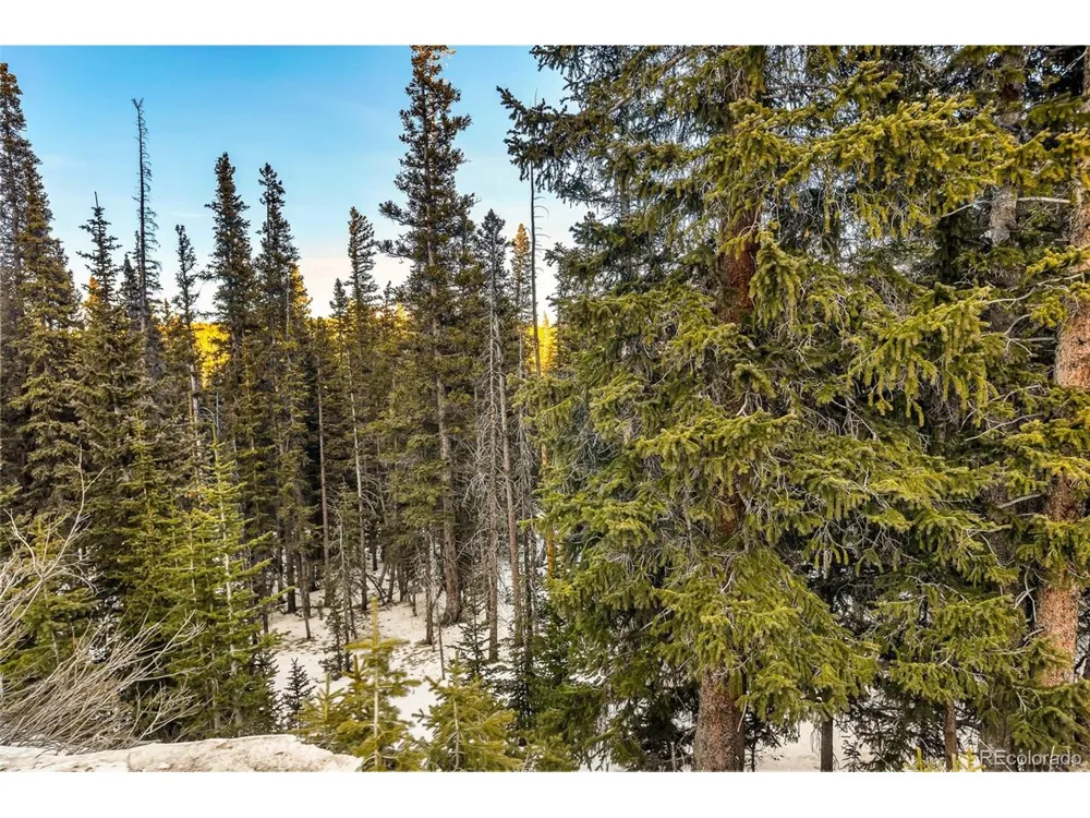 343 Sunshine Drive Fairplay, CO 80440