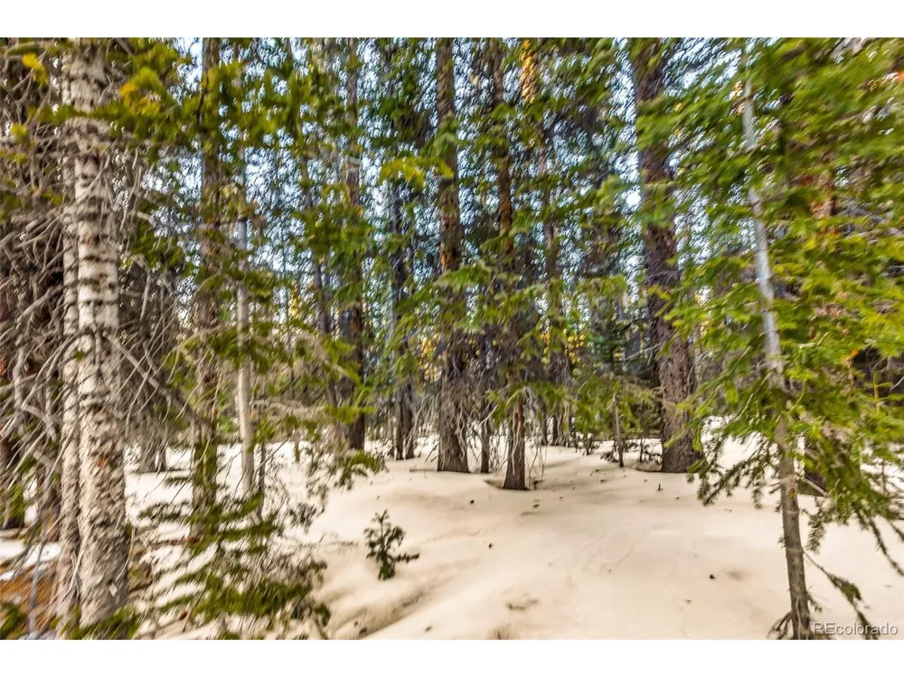 343 Sunshine Drive Fairplay, CO 80440