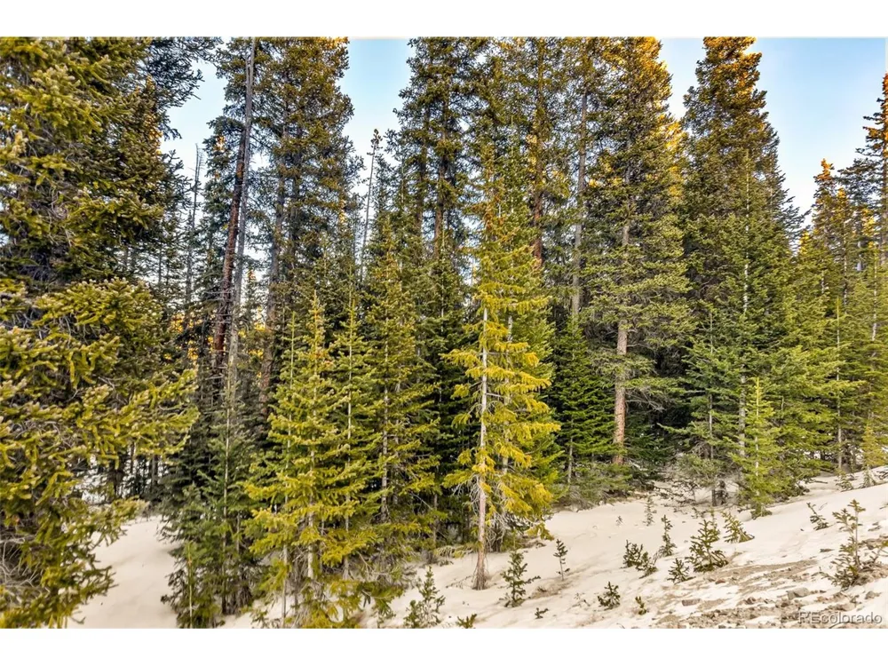 343 Sunshine Drive Fairplay, CO 80440