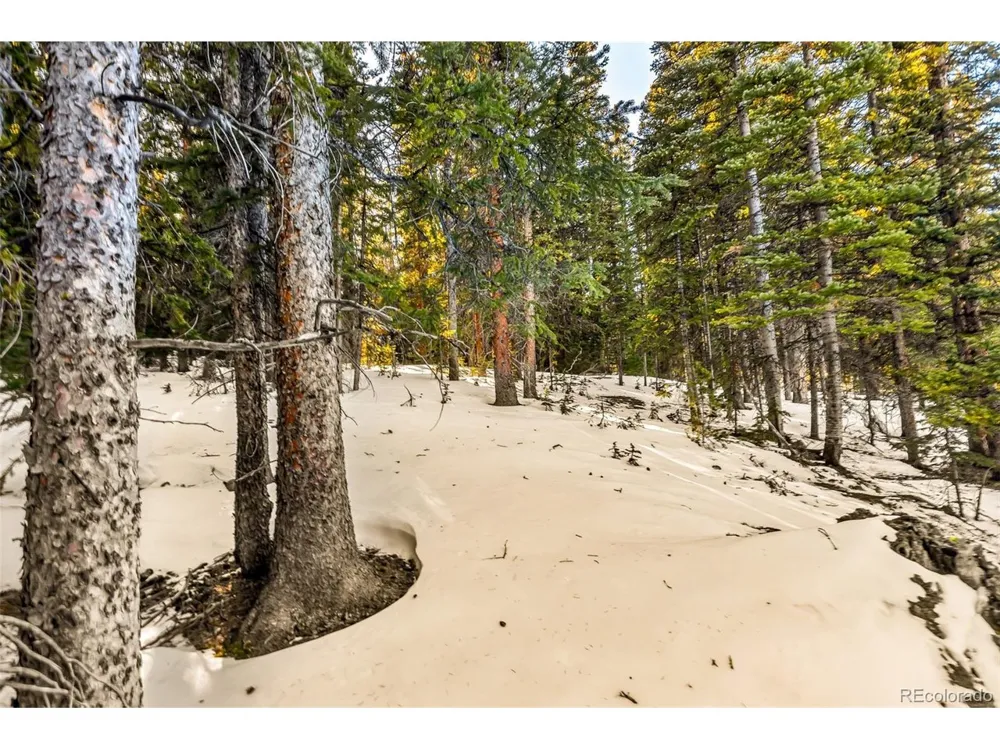 343 Sunshine Drive Fairplay, CO 80440