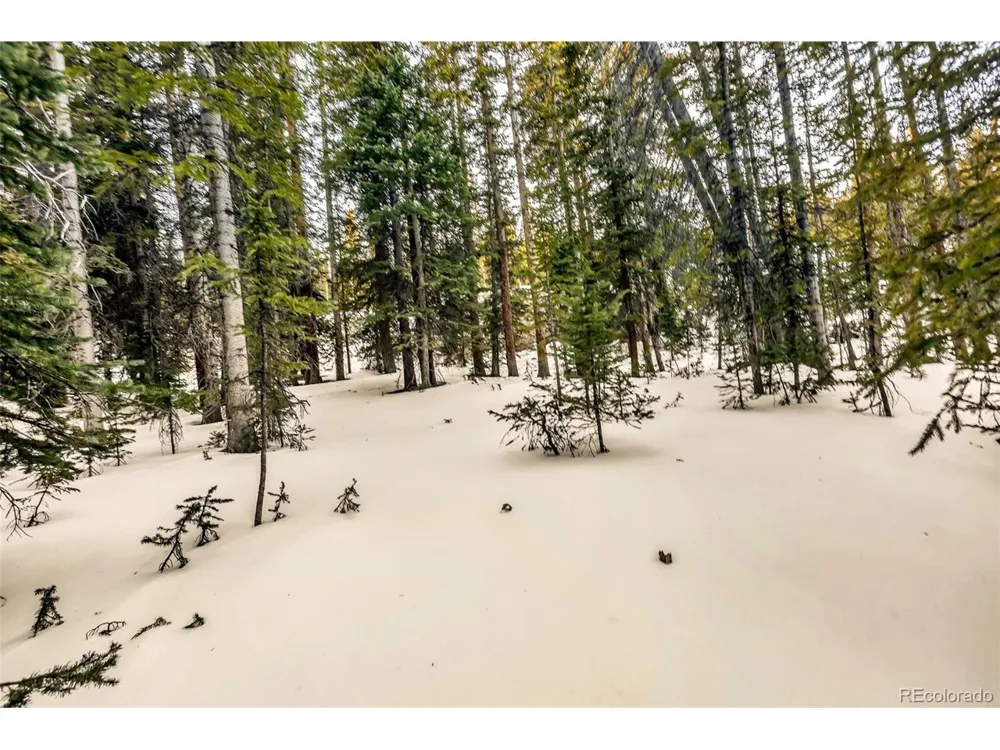 343 Sunshine Drive Fairplay, CO 80440