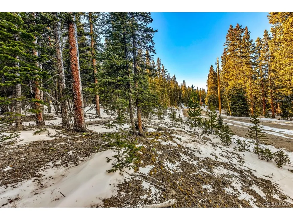 343 Sunshine Drive Fairplay, CO 80440