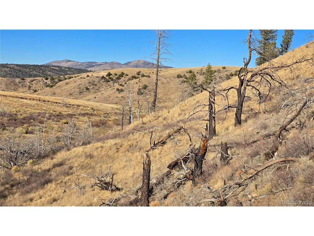 7741 Van Giesen Road Fort Garland, CO 81133