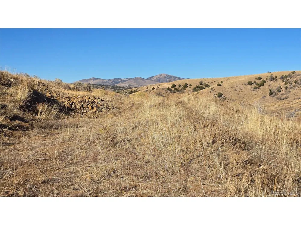 7741 Van Giesen Road Fort Garland, CO 81133