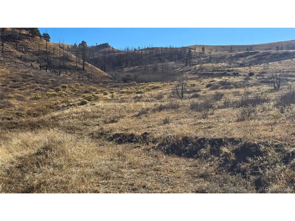 7741 Van Giesen Road Fort Garland, CO 81133