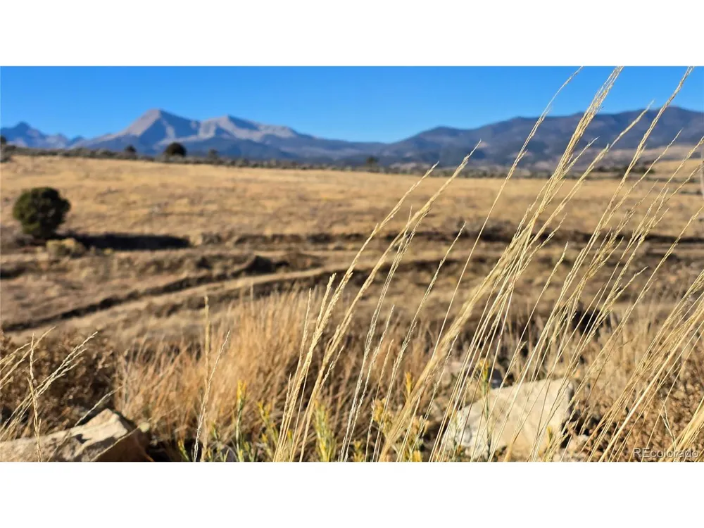 7741 Van Giesen Road Fort Garland, CO 81133