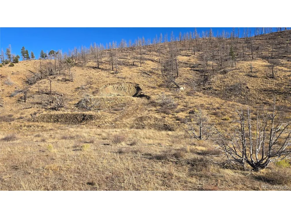 7741 Van Giesen Road Fort Garland, CO 81133