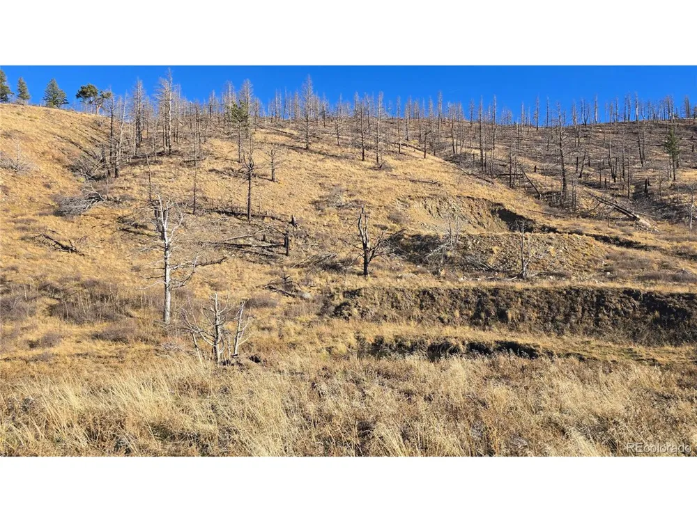 7741 Van Giesen Road Fort Garland, CO 81133