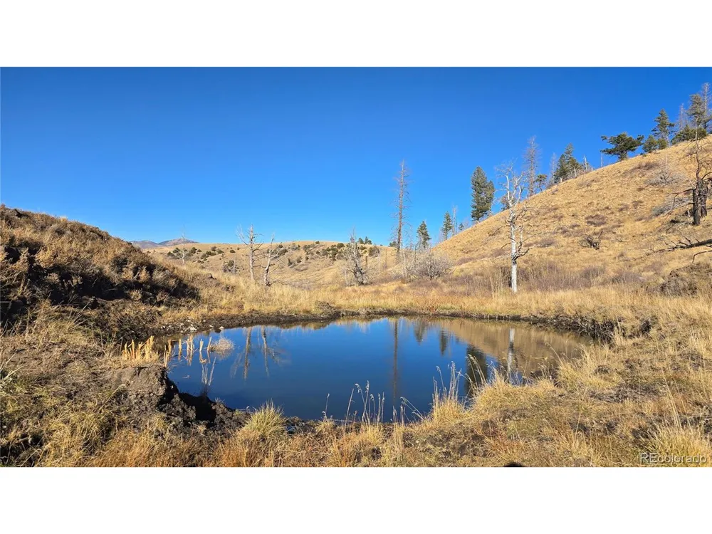 7741 Van Giesen Road Fort Garland, CO 81133