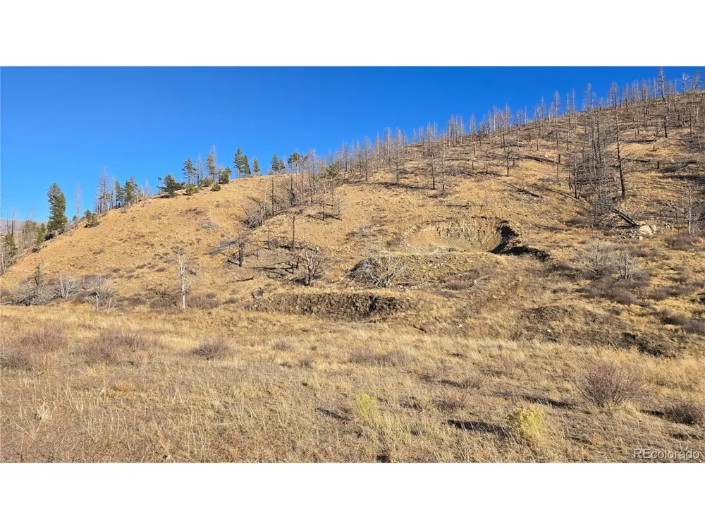 7741 Van Giesen Road Fort Garland, CO 81133