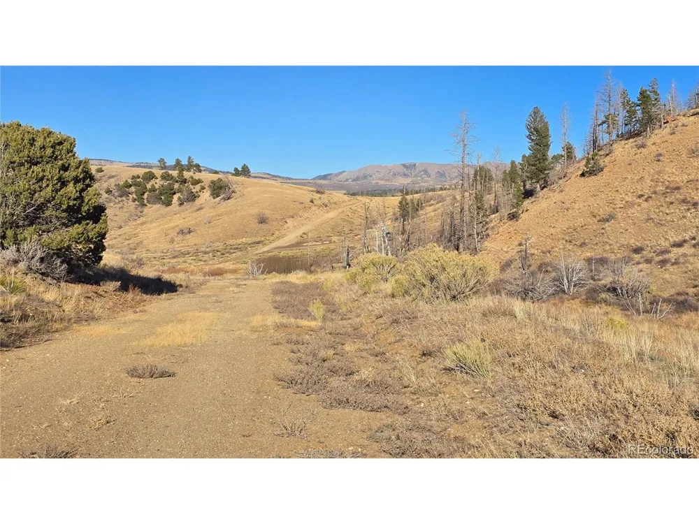 7741 Van Giesen Road Fort Garland, CO 81133