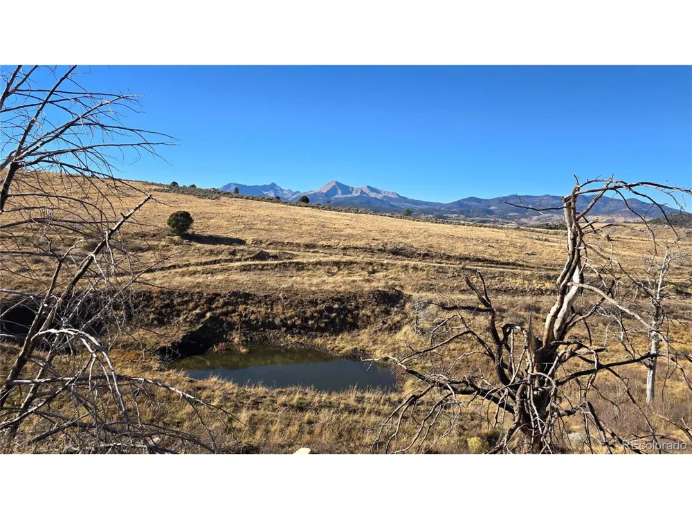 7741 Van Giesen Road Fort Garland, CO 81133