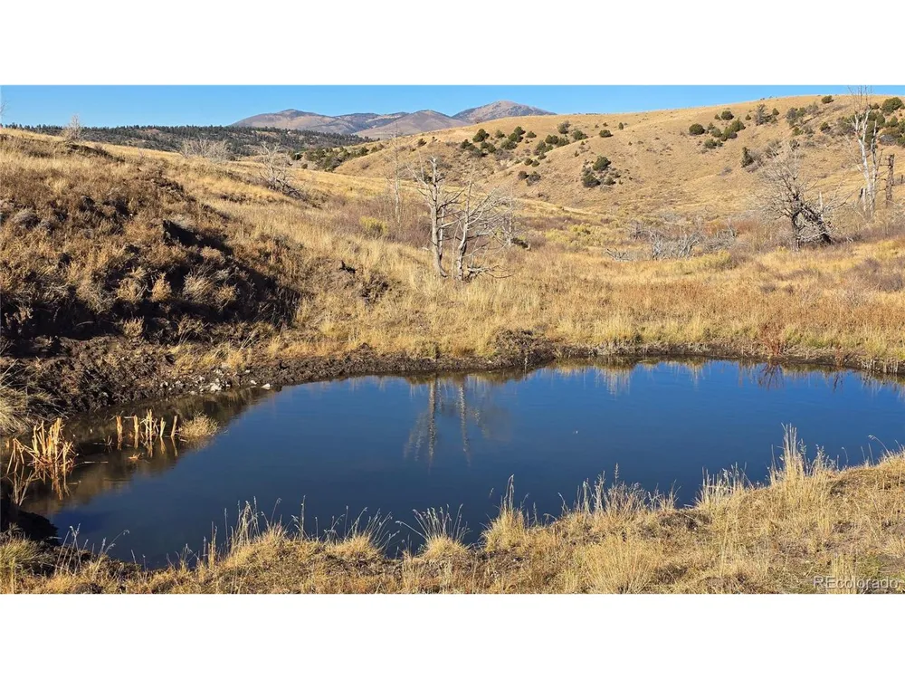 7741 Van Giesen Road Fort Garland, CO 81133