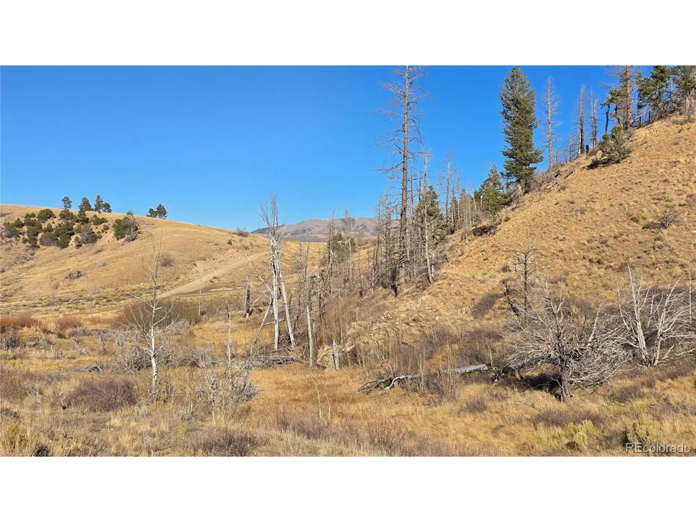 7741 Van Giesen Road Fort Garland, CO 81133