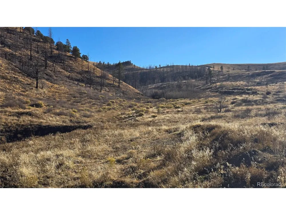 7741 Van Giesen Road Fort Garland, CO 81133