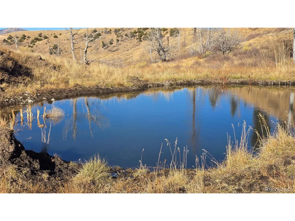 7741 Van Giesen Road Fort Garland, CO 81133