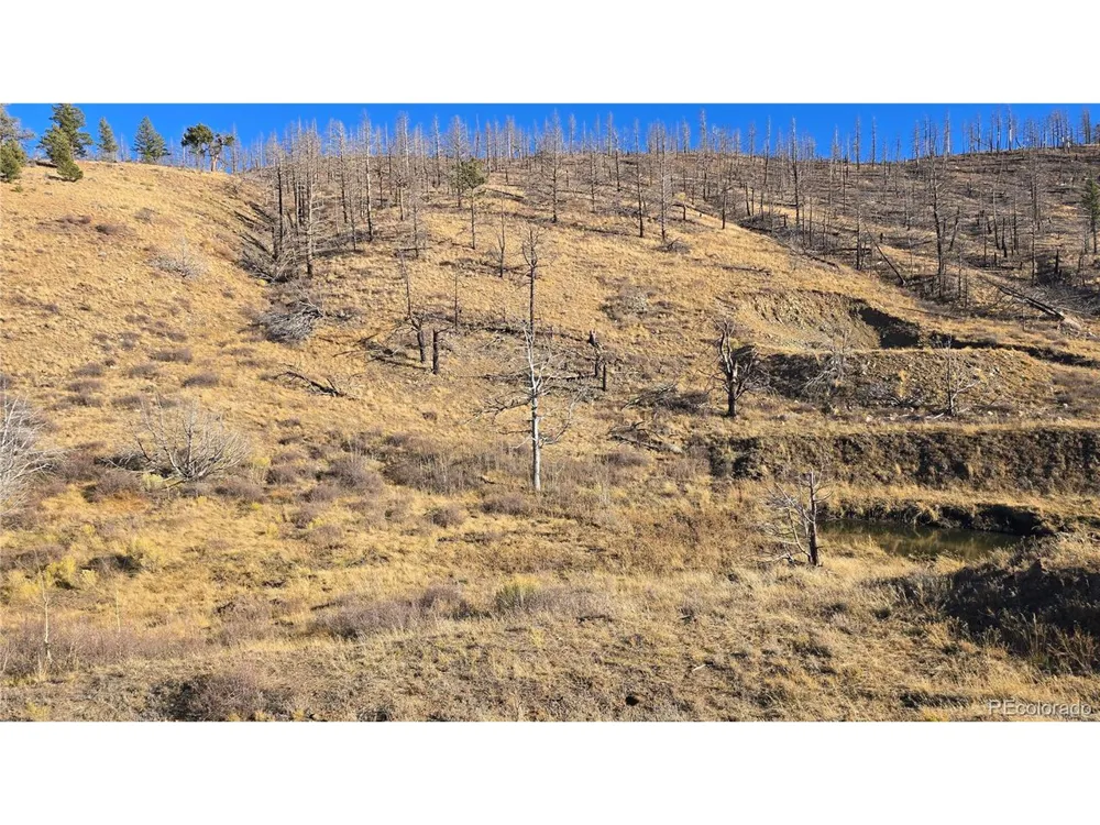 7741 Van Giesen Road Fort Garland, CO 81133