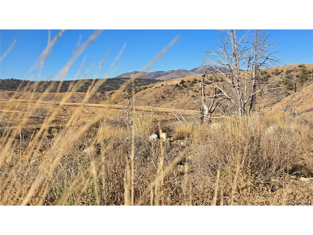 7741 Van Giesen Road Fort Garland, CO 81133