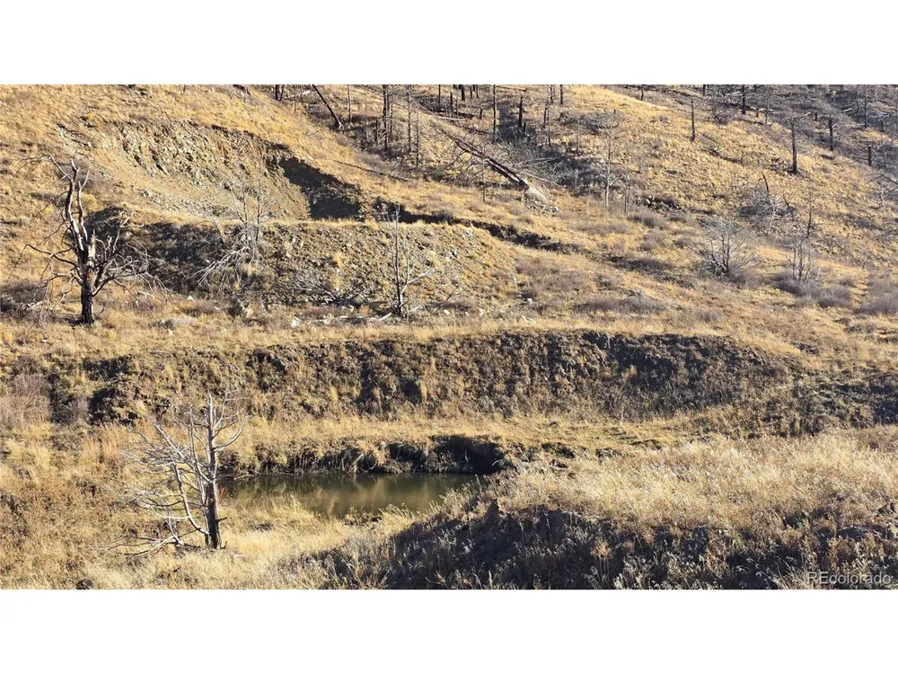 7741 Van Giesen Road Fort Garland, CO 81133