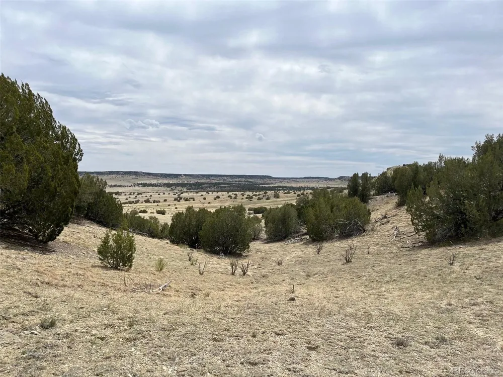 0 Black Horse Drive Pueblo, CO 81004