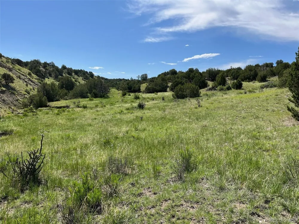 0 Railroad Springs Road Pueblo, CO 81004