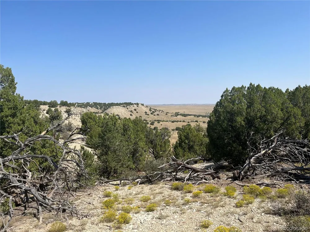 90 Railroad Springs Road Pueblo, CO 81004