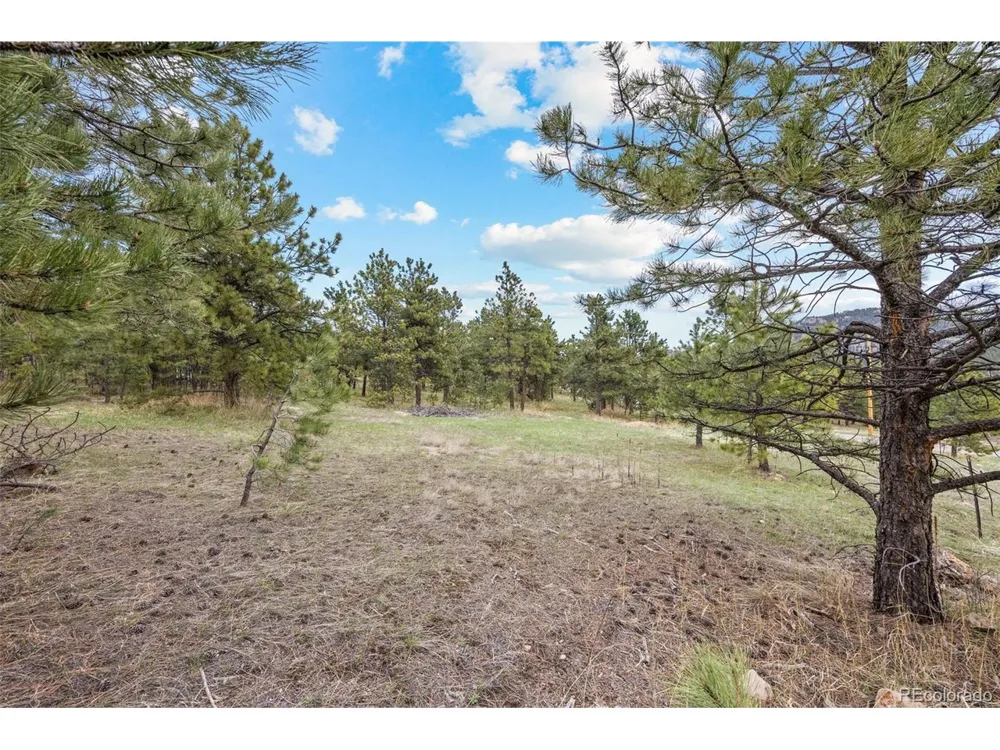 Address Not Shown Evergreen, CO 80439