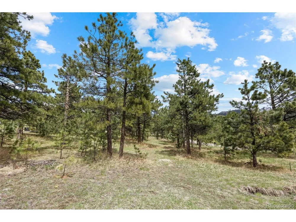 Address Not Shown Evergreen, CO 80439