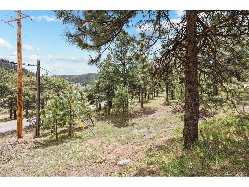 Address Not Shown Evergreen, CO 80439