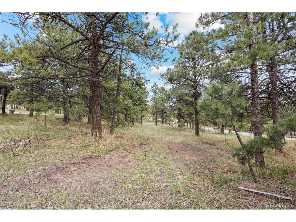 Address Not Shown Evergreen, CO 80439