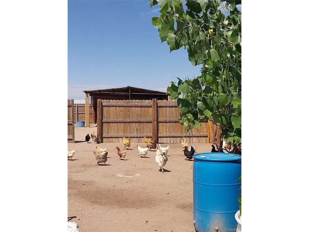 6642 CO RD I Wiggins, CO 80654