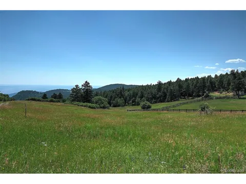 13884 Trail Circle