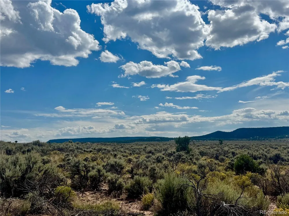 3425 McLaughlin Road Fort Garland, CO 81133