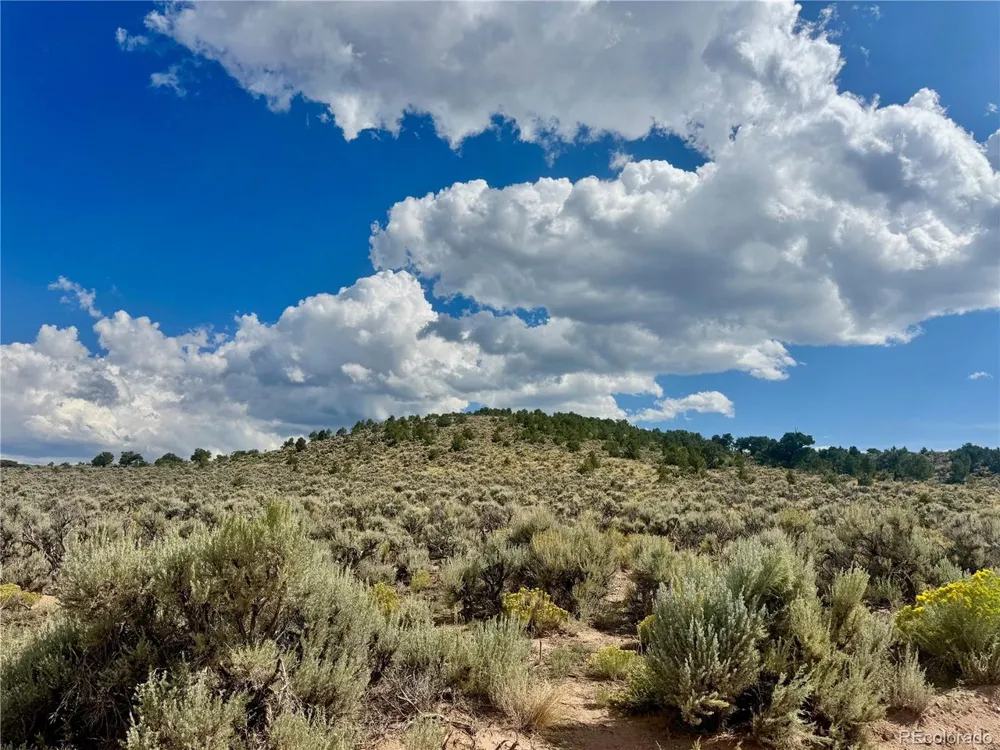 3425 McLaughlin Road Fort Garland, CO 81133
