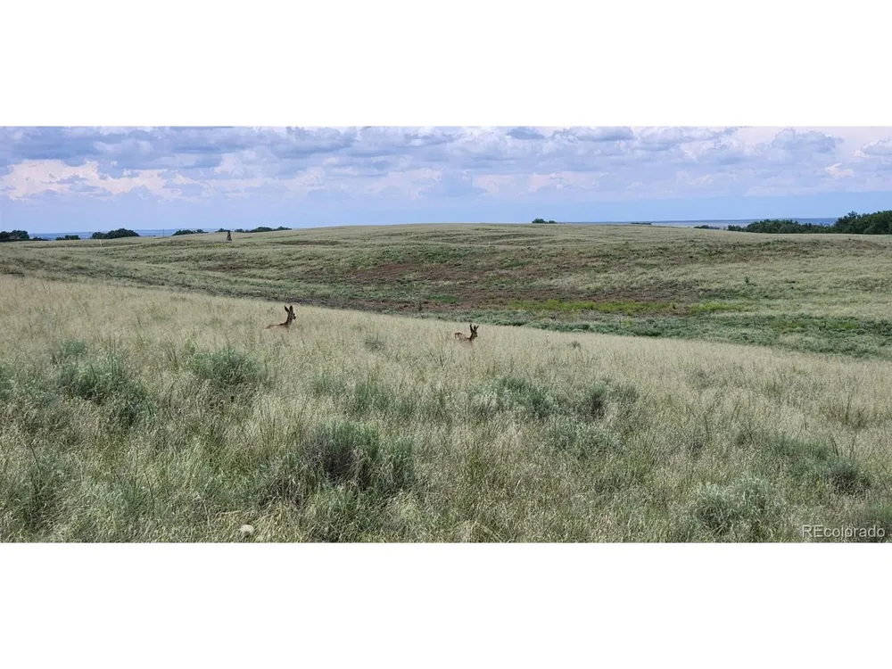 R8977763 Orchard, CO 80649