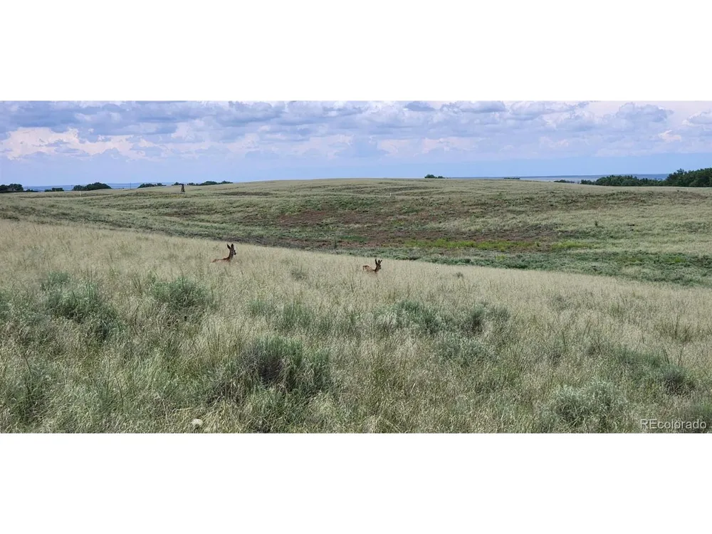 County Rd 95 Orchard, CO 80654