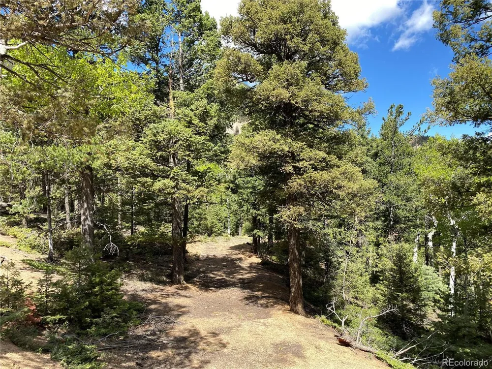 210 Waterfall Loop Manitou Springs, CO 80829