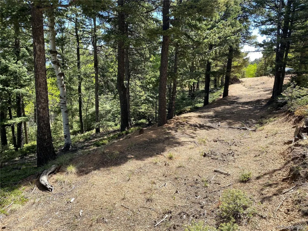 210 Waterfall Loop Manitou Springs, CO 80829