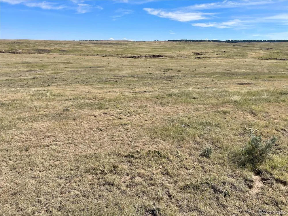 3 County Road 77 Calhan, CO 80808