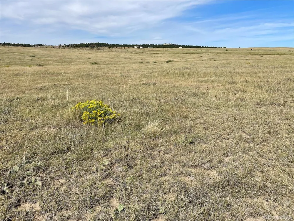 3 County Road 77 Calhan, CO 80808