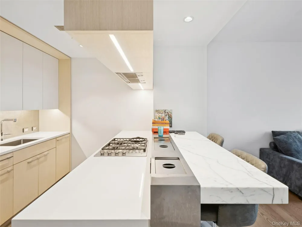 252 south Street #68K New York (Manhattan), NY 10002