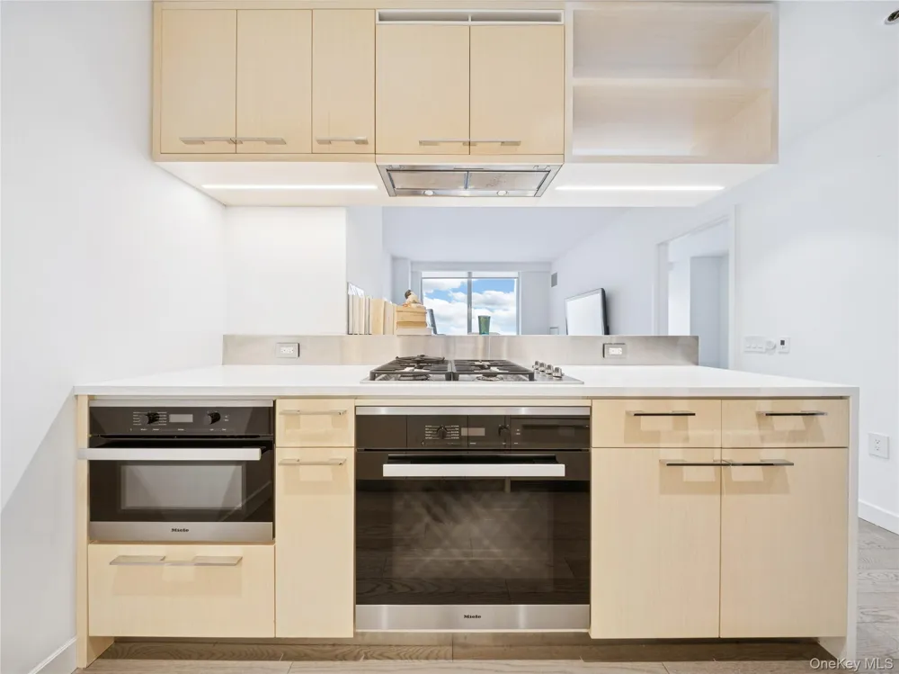252 south Street #68K New York (Manhattan), NY 10002