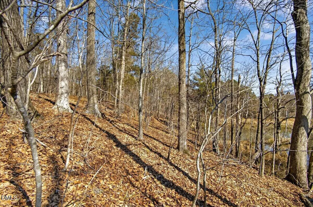 0 Globe Road Morrisville, NC 27560