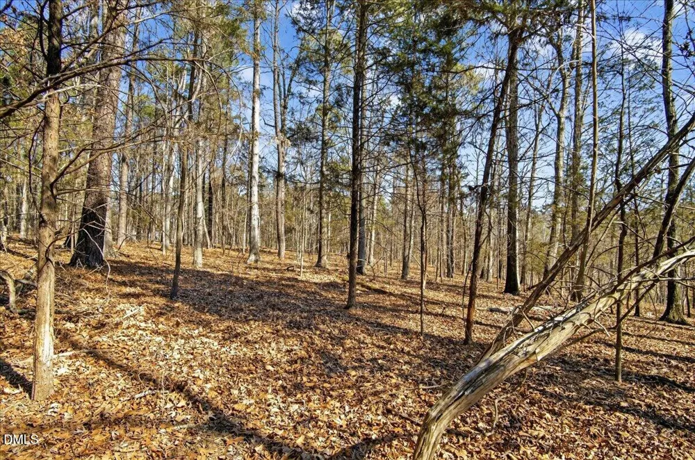 0 Globe Road Morrisville, NC 27560