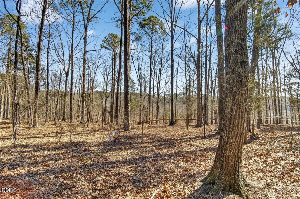 0 Globe Road Morrisville, NC 27560
