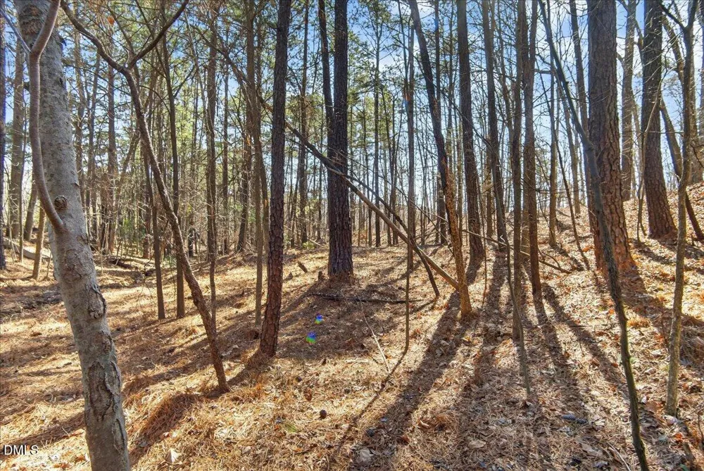 0 Globe Road Morrisville, NC 27560