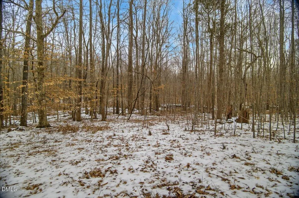 0 Mace Road Mebane, NC 27302