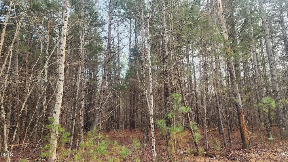 000 Northpointe Farms Trail Efland, NC 27243