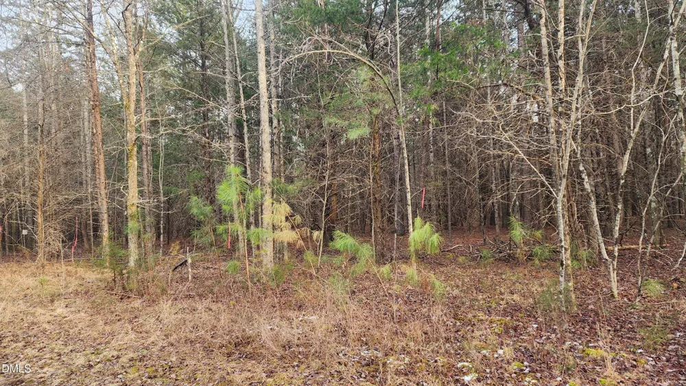 000 Northpointe Farms Trail Efland, NC 27243