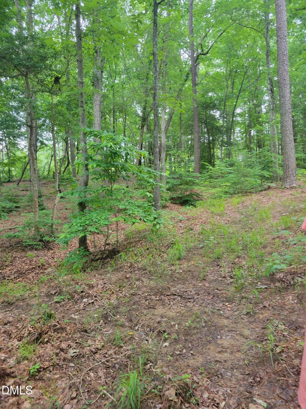 Lot 23 Sail View Lane Macon, NC 27551